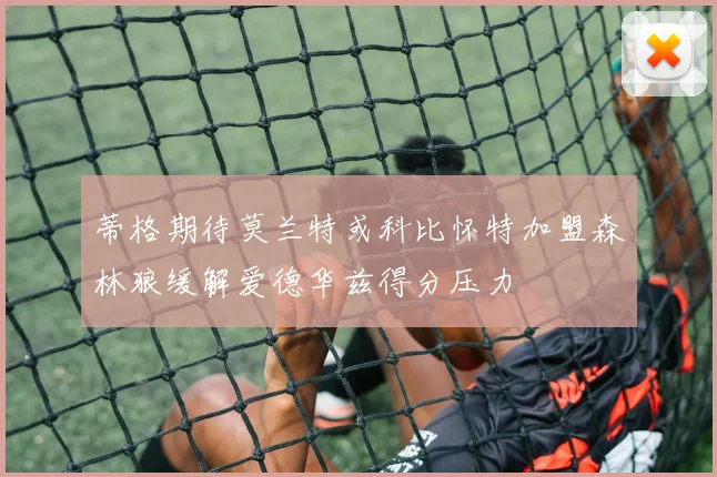 蒂格期待莫兰特或科比怀特加盟森林狼缓解爱德华兹得分压力